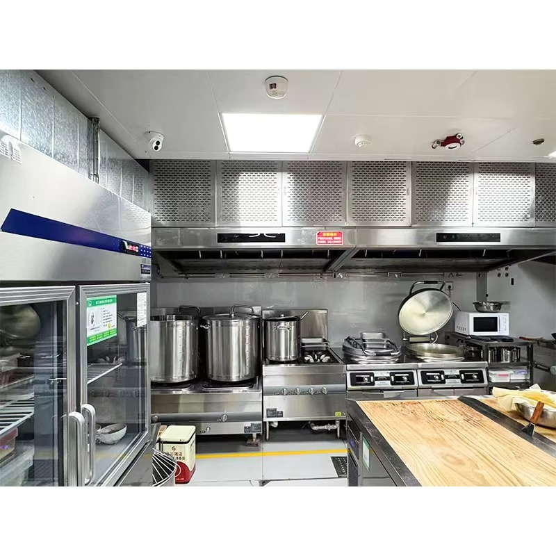 Campana Extractora Comercial P - Commercial Kitchen Hoods reseña y precio
